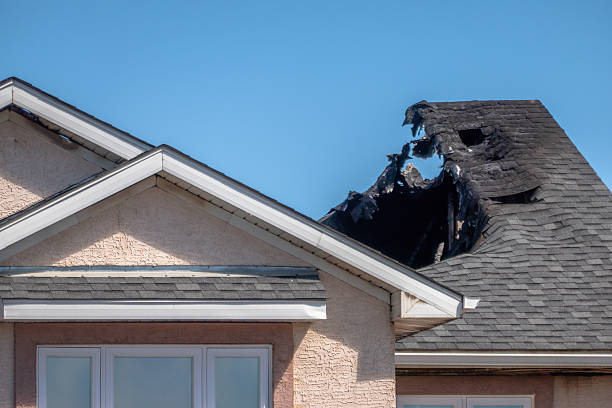 Top rated local Fire Damage Removal specialists in Cookstown, NJ